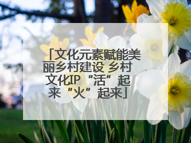 文化元素赋能美丽乡村建设 乡村文化IP“活”起来“火”起来