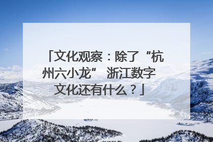 文化观察：除了“杭州六小龙” 浙江数字文化还有什么？