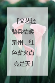 文艺轻骑兵情暖荆州，红色薪火点亮楚天