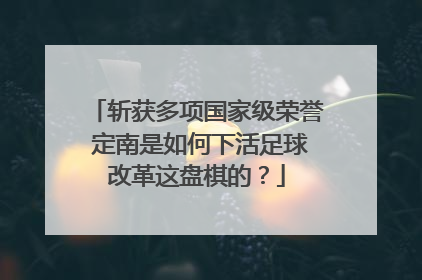斩获多项国家级荣誉 定南是如何下活足球改革这盘棋的？