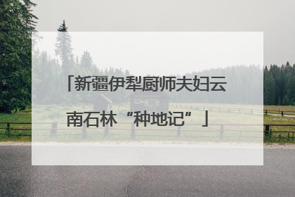 新疆伊犁厨师夫妇云南石林“种地记”