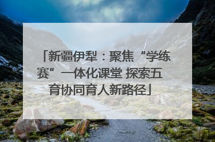 新疆伊犁：聚焦“学练赛”一体化课堂 探索五育协同育人新路径
