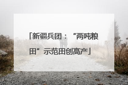 新疆兵团：“两吨粮田”示范田创高产