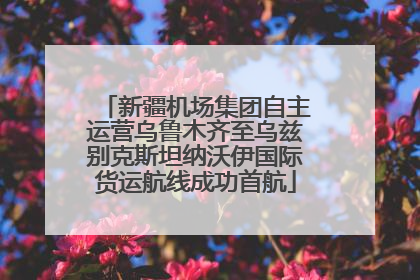 新疆机场集团自主运营乌鲁木齐至乌兹别克斯坦纳沃伊国际货运航线成功首航