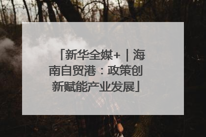 新华全媒+｜海南自贸港：政策创新赋能产业发展