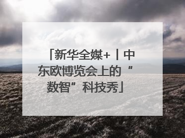 新华全媒+丨中东欧博览会上的“数智”科技秀