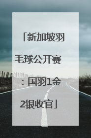 新加坡羽毛球公开赛：国羽1金2银收官