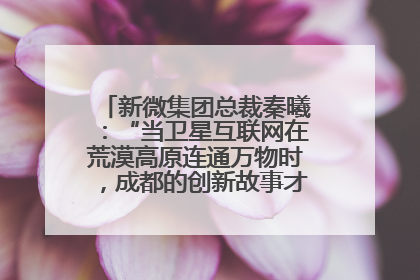 新微集团总裁秦曦：“当卫星互联网在荒漠高原连通万物时，成都的创新故事才真正开始”