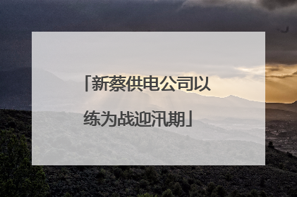 新蔡供电公司以练为战迎汛期