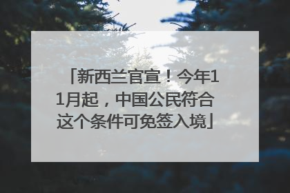 新西兰官宣！今年11月起，中国公民符合这个条件可免签入境
