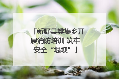新野县樊集乡开展消防培训 筑牢安全“堤坝”