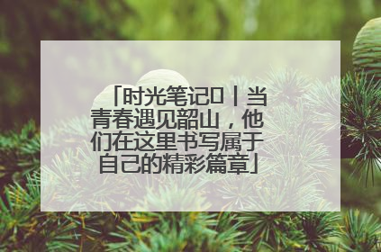 时光笔记⑪丨当青春遇见韶山，他们在这里书写属于自己的精彩篇章