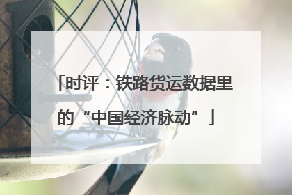 时评：铁路货运数据里的“中国经济脉动”