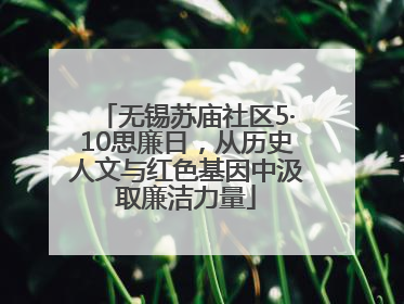 无锡苏庙社区5·10思廉日，从历史人文与红色基因中汲取廉洁力量