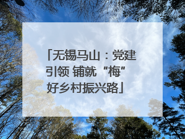 无锡马山：党建引领 铺就“梅”好乡村振兴路