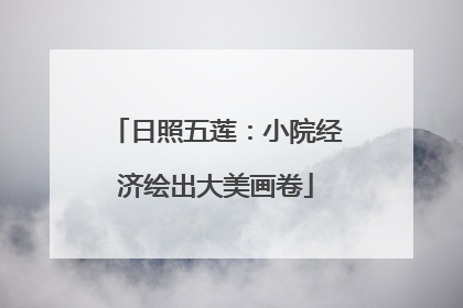日照五莲：小院经济绘出大美画卷