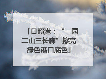 日照港：“一园二山三长廊”擦亮绿色港口底色