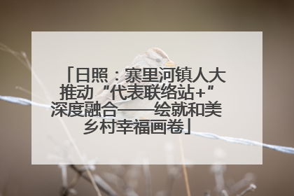 日照：寨里河镇人大推动“代表联络站+”深度融合——绘就和美乡村幸福画卷