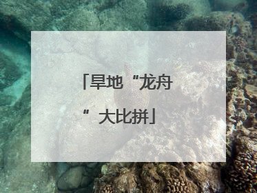 旱地“龙舟”大比拼