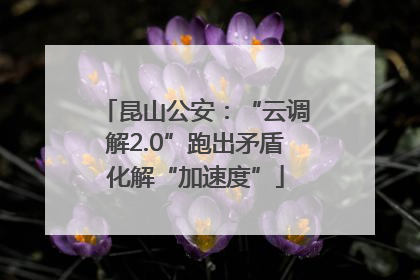 昆山公安：“云调解2.0”跑出矛盾化解“加速度”