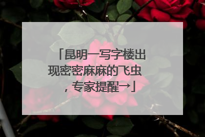 昆明一写字楼出现密密麻麻的飞虫，专家提醒→