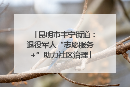昆明市丰宁街道：退役军人“志愿服务+”助力社区治理