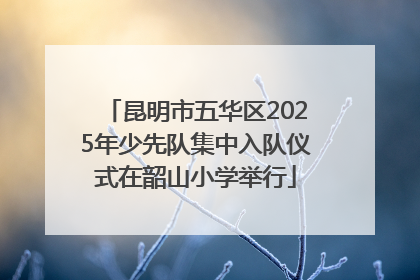 昆明市五华区2025年少先队集中入队仪式在韶山小学举行