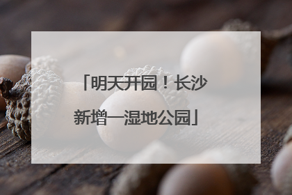 明天开园！长沙新增一湿地公园