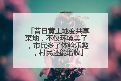 昔日黄土地变共享菜地，不仅环境美了，市民多了体验乐趣，村民还能增收