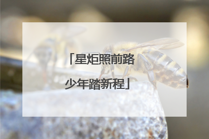 星炬照前路 少年踏新程