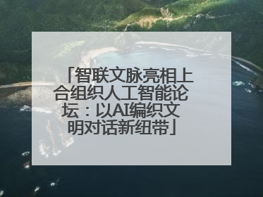 智联文脉亮相上合组织人工智能论坛：以AI编织文明对话新纽带