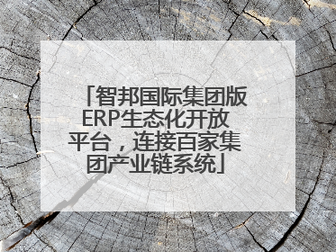 智邦国际集团版ERP生态化开放平台，连接百家集团产业链系统