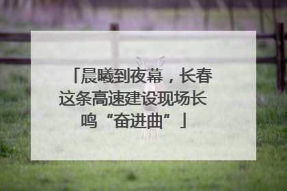 晨曦到夜幕，长春这条高速建设现场长鸣“奋进曲”