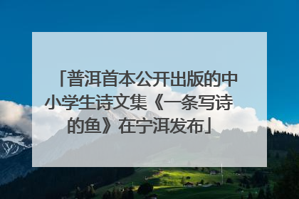 普洱首本公开出版的中小学生诗文集《一条写诗的鱼》在宁洱发布