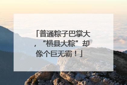 普通粽子巴掌大，“横县大粽”却像个巨无霸！
