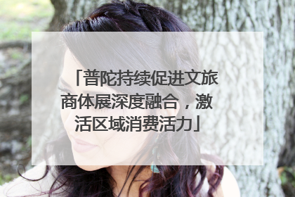 普陀持续促进文旅商体展深度融合，激活区域消费活力