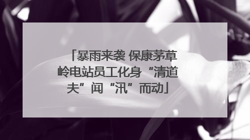 暴雨来袭 保康茅草岭电站员工化身“清道夫”闻“汛”而动