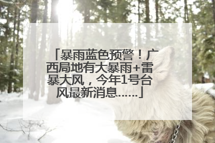暴雨蓝色预警！广西局地有大暴雨+雷暴大风，今年1号台风最新消息……
