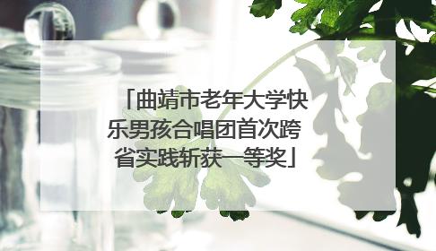 曲靖市老年大学快乐男孩合唱团首次跨省实践斩获一等奖
