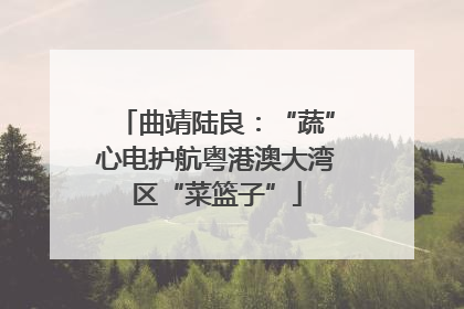 曲靖陆良：“蔬”心电护航粤港澳大湾区“菜篮子”