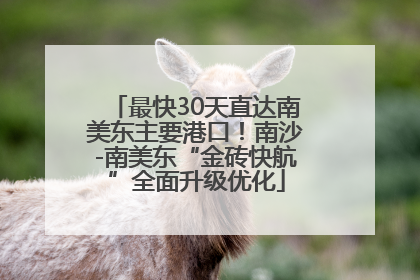最快30天直达南美东主要港口！南沙-南美东“金砖快航”全面升级优化