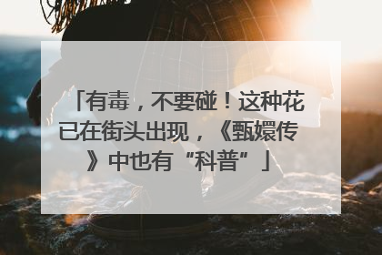 有毒，不要碰！这种花已在街头出现，《甄嬛传》中也有“科普”