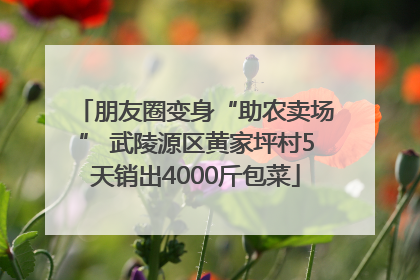 朋友圈变身“助农卖场” 武陵源区黄家坪村5天销出4000斤包菜