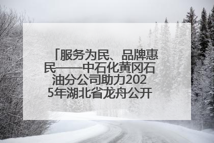 服务为民、品牌惠民——中石化黄冈石油分公司助力2025年湖北省龙舟公开赛（黄冈站）