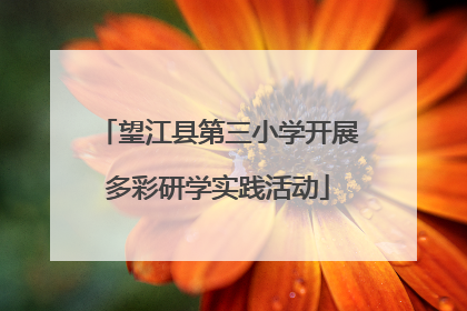 望江县第三小学开展多彩研学实践活动
