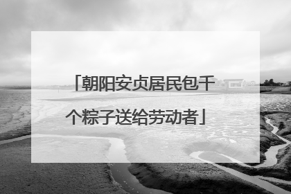 朝阳安贞居民包千个粽子送给劳动者
