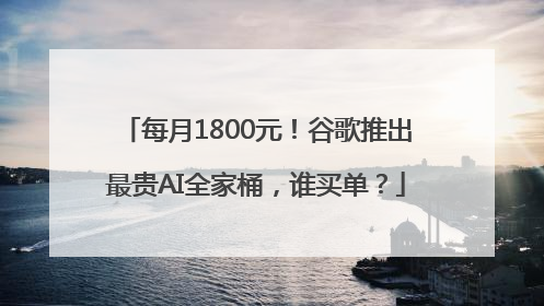 每月1800元！谷歌推出最贵AI全家桶，谁买单？