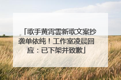 歌手黄霄雲新歌文案抄袭单依纯！工作室凌晨回应：已下架并致歉