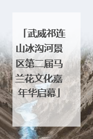 武威祁连山冰沟河景区第二届马兰花文化嘉年华启幕