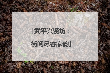 武平兴贤坊：一街阅尽客家韵